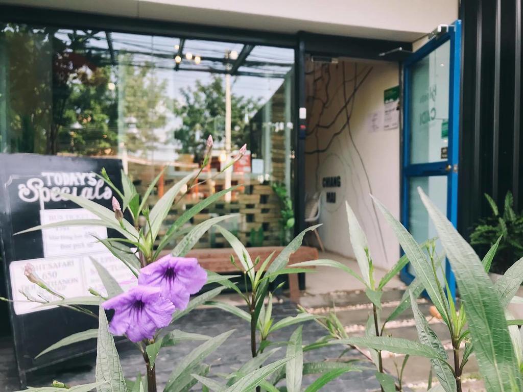 Hostel Bloomz *