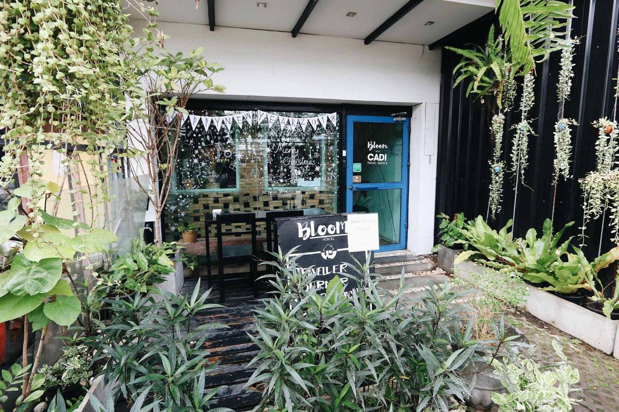 Bloomz * Chiang Mai