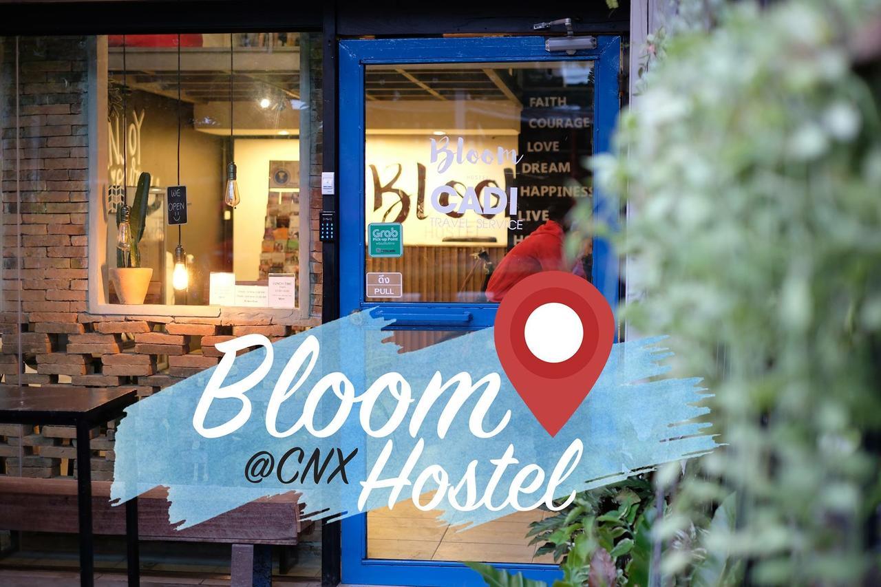 Hostel Bloomz *